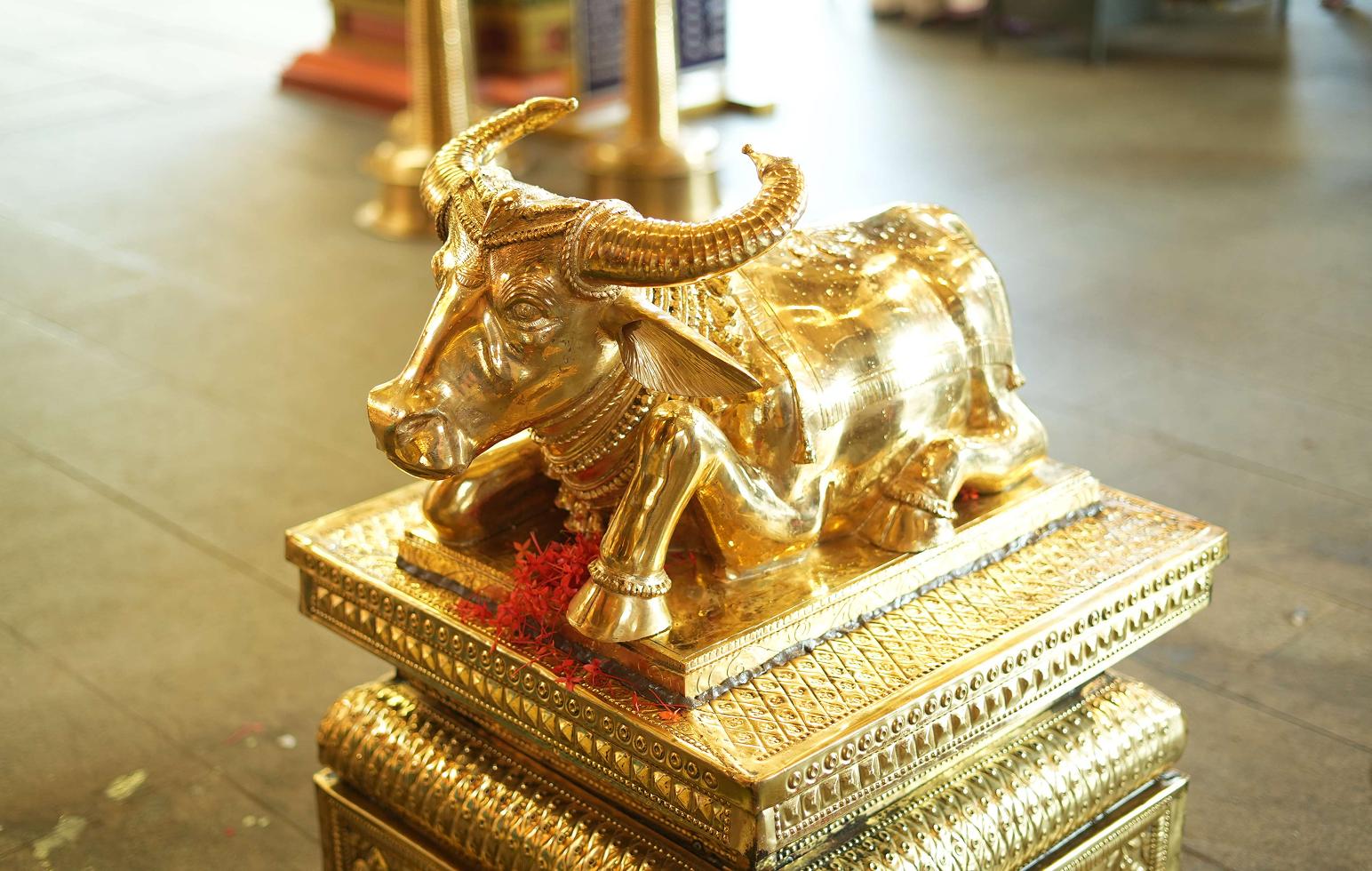 Kanadikavu Temple Ceremony