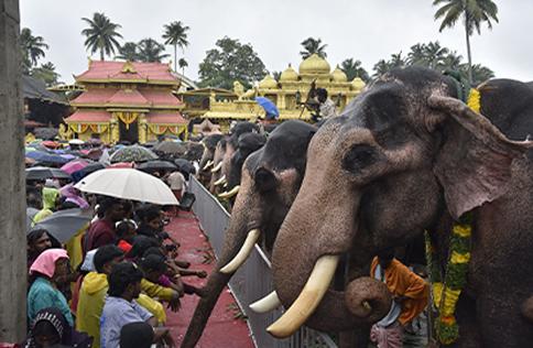Kanadikavu Temple Ceremony