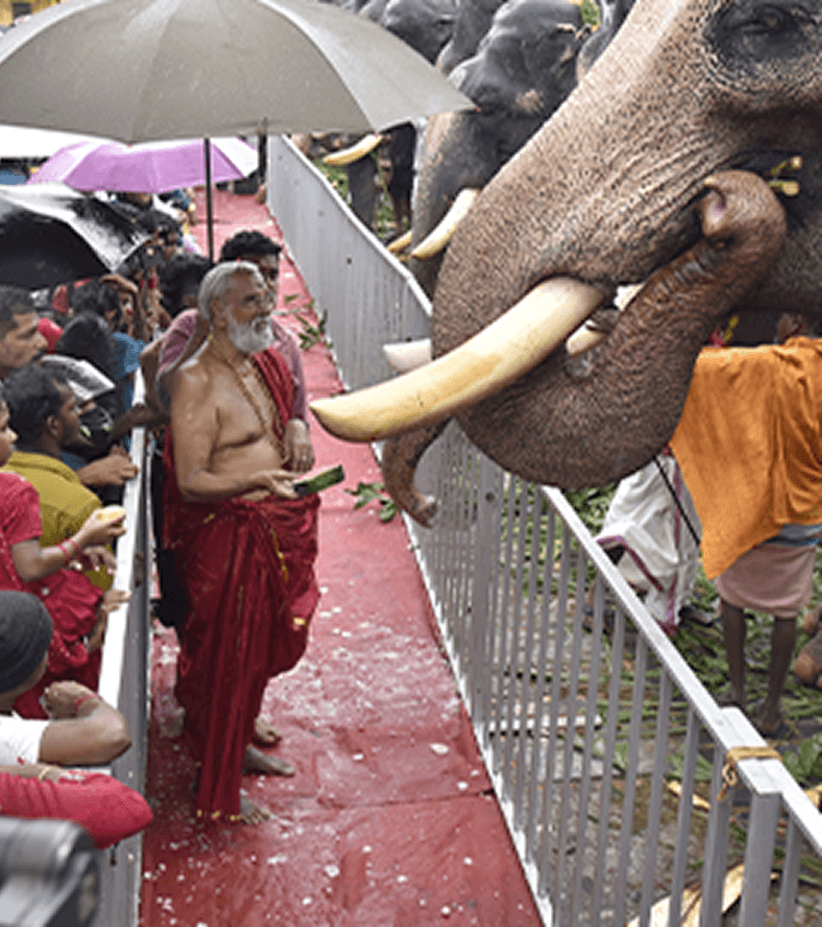 കാനാടികാവ് ശ്രീ വിഷ്ണുമായ സ്വാമി ക്ഷേത്രത്തിൽ